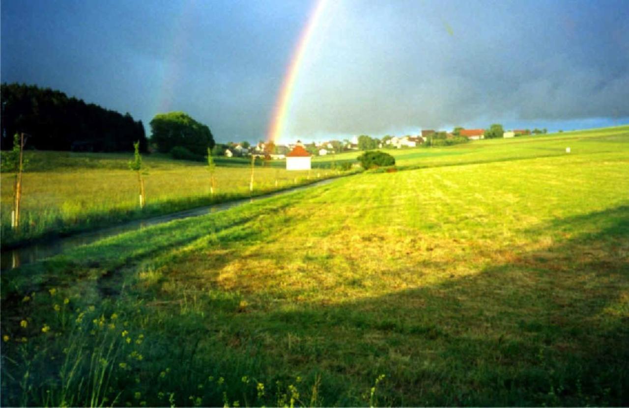 Haus Ketterer Daire Bad Dürrheim Dış mekan fotoğraf