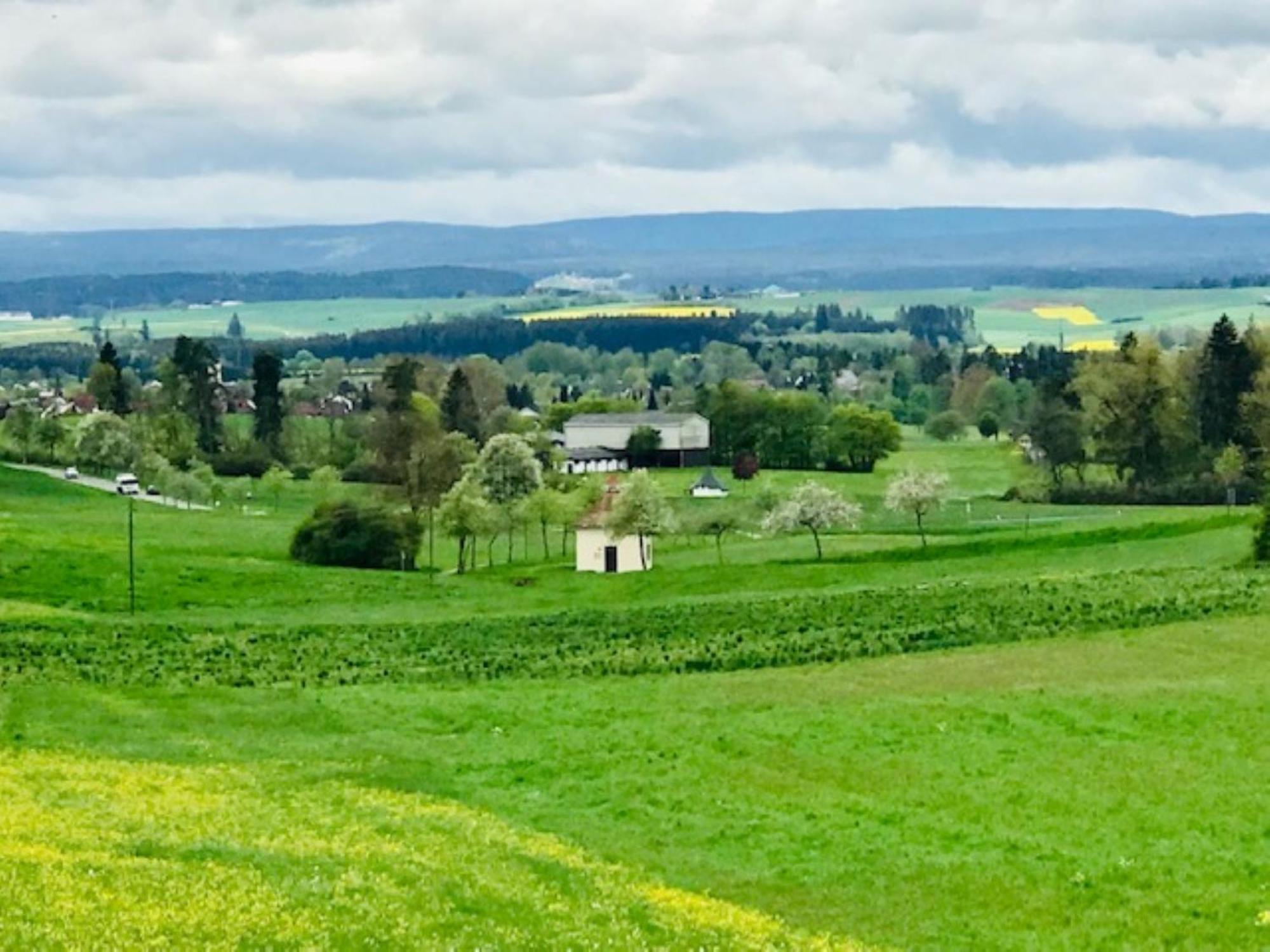 Haus Ketterer Daire Bad Dürrheim Dış mekan fotoğraf
